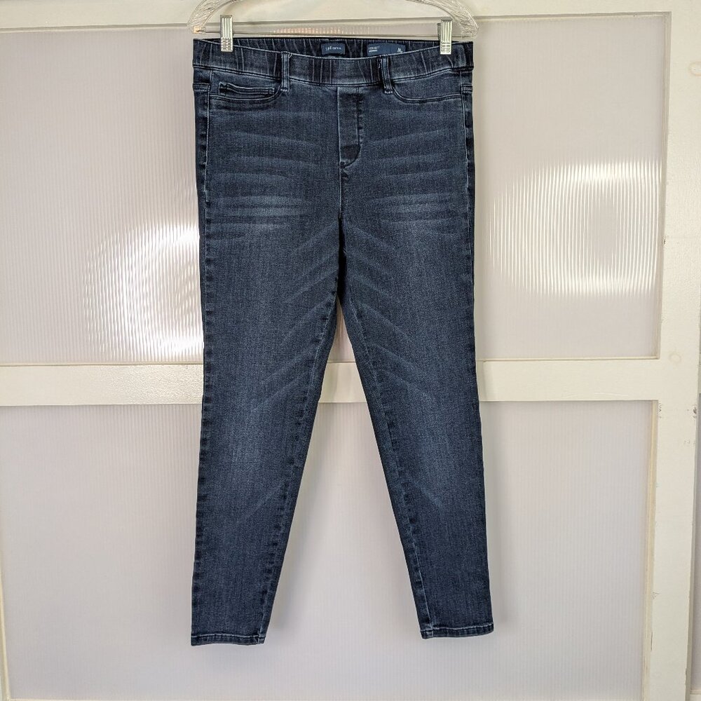 J. Jill Denim Perfect Jeggings Stretch Pull On Skinny Size Medium Petite Casual